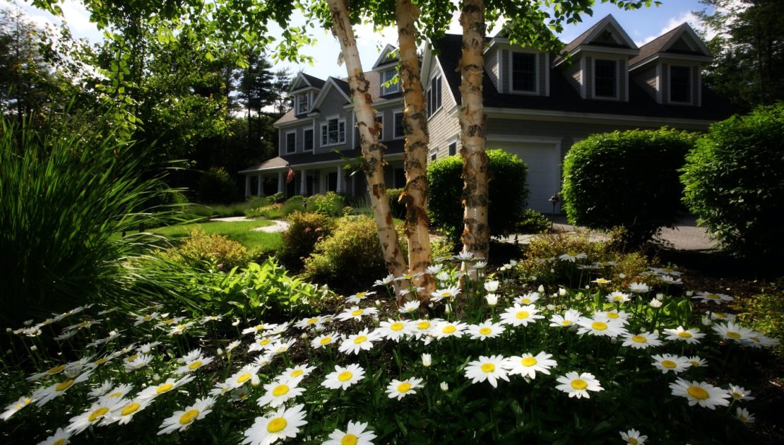 Front yard with paver walkway, planting beds, and clean curb appeal in Southeast Michigan