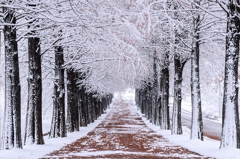 Winter planning for a spring paver patio project in Michigan